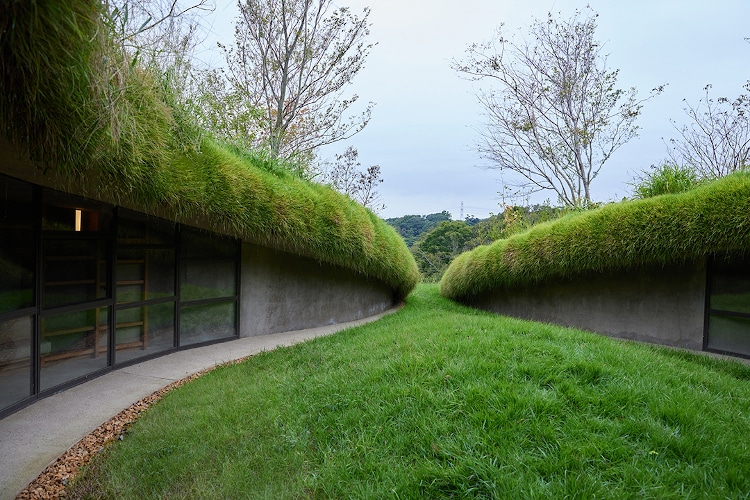 burrowed underground library at kurkku fields surrounded by greenery
